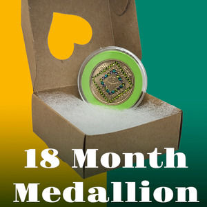 NA Narcotics Anonymous 18 bronze medallion modified with gems! Free NA extras!